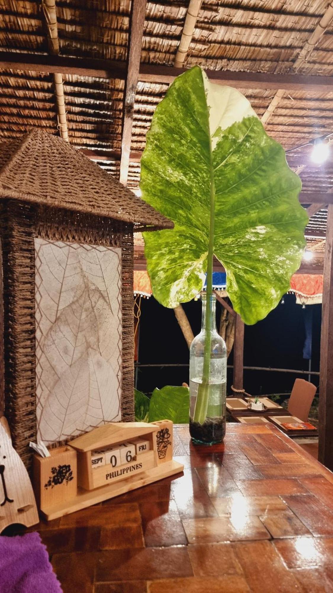 ホテル Jush Native And Glamping Dauis エクステリア 写真